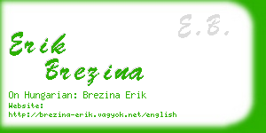 erik brezina business card